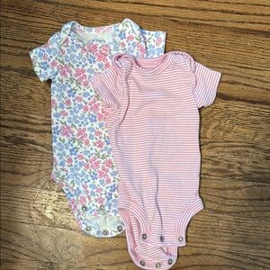 Carter's Pink and Blue Bodysuits